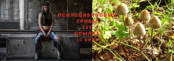ECSTASY Алексеевка