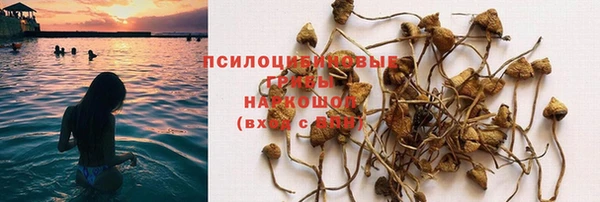 кристаллы Алзамай