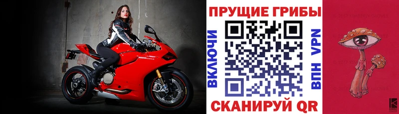 Купить закладки  Ясногорск  Псилоцибиновые грибы прущие грибы 